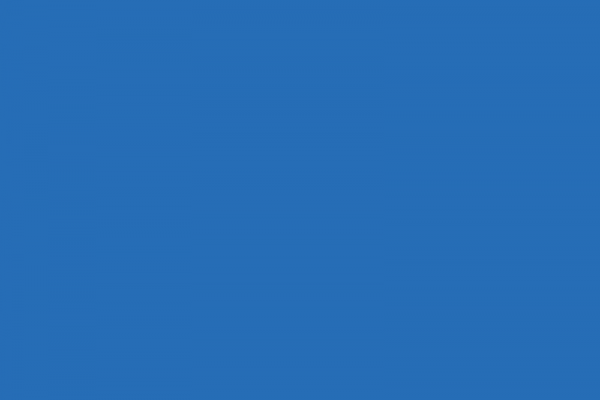 蓝罂粟 (Blue Poppy)