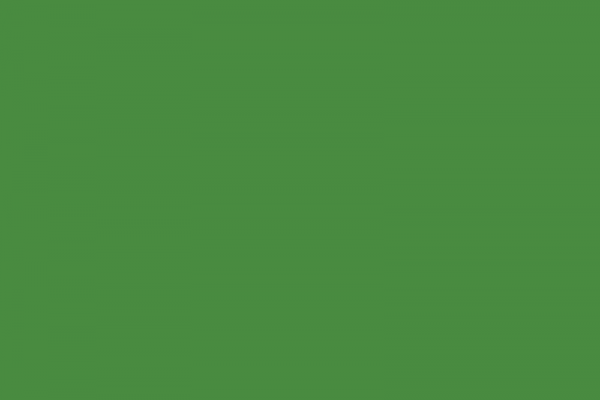 甜豆绿 (Sugar Snap)