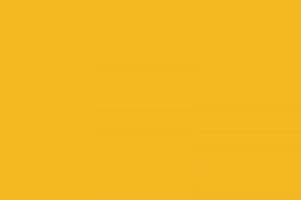 向日葵田 (Sunflower Field)